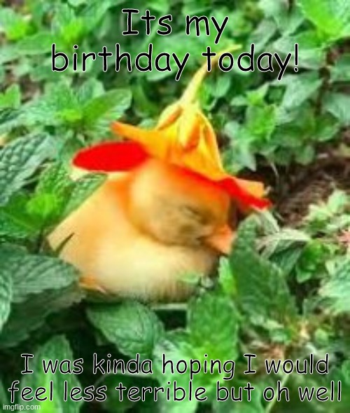 Birthday! Woo! | Its my birthday today! I was kinda hoping I would feel less terrible but oh well | made w/ Imgflip meme maker