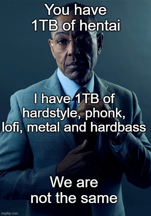 I would have 1TB of those but my computer said no | You have 1TB of hentai; I have 1TB of hardstyle, phonk, lofi, metal and hardbass; We are not the same | image tagged in we are not the same | made w/ Imgflip meme maker