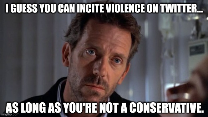 Weird how that works right? | I GUESS YOU CAN INCITE VIOLENCE ON TWITTER... AS LONG AS YOU'RE NOT A CONSERVATIVE. | image tagged in sarcastic house | made w/ Imgflip meme maker