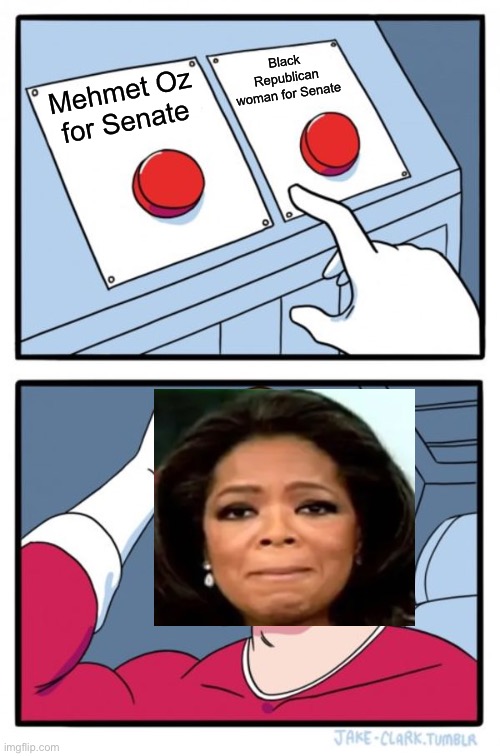 Oprah’s Dilemma | Black Republican woman for Senate; Mehmet Oz for Senate | image tagged in memes,two buttons | made w/ Imgflip meme maker
