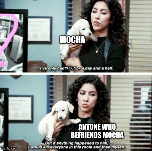 Mocha a wholesome bean :> | MOCHA; MOCHA; ANYONE WHO BEFRIENDS MOCHA | image tagged in i've only had arlo for a day and a half | made w/ Imgflip meme maker