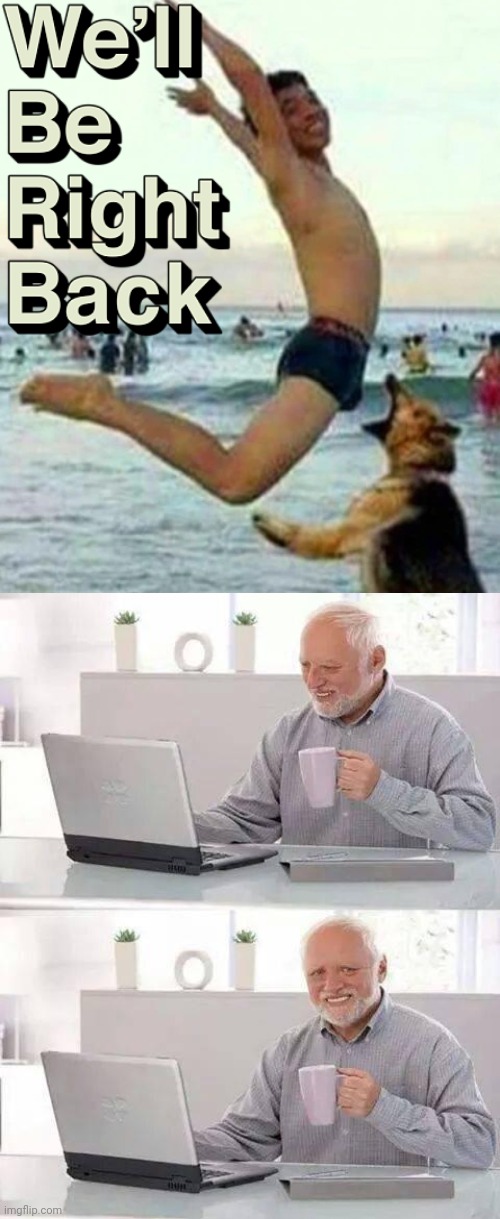 P.A.I.N | image tagged in memes,hide the pain harold,pain,doggo,funny memes | made w/ Imgflip meme maker