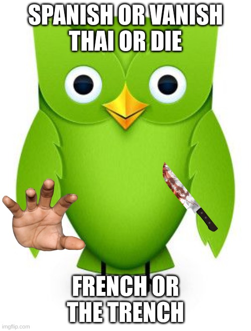 Don't mess with him | SPANISH OR VANISH
THAI OR DIE; FRENCH OR THE TRENCH | image tagged in 2012 duolingo owl,spanish or vanish,french or the trench,duolingo bird | made w/ Imgflip meme maker