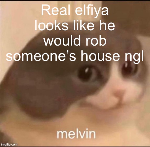 melvin | Real elfiya looks like he would rob someone’s house ngl | image tagged in melvin | made w/ Imgflip meme maker