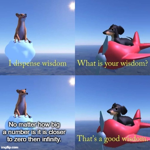 Wisdom dog |  No matter how big a number is it is closer to zero then infinity. | image tagged in wisdom dog | made w/ Imgflip meme maker
