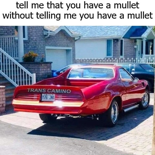 tell me that you have a mullet without telling me you have a mullet | image tagged in millet | made w/ Imgflip meme maker