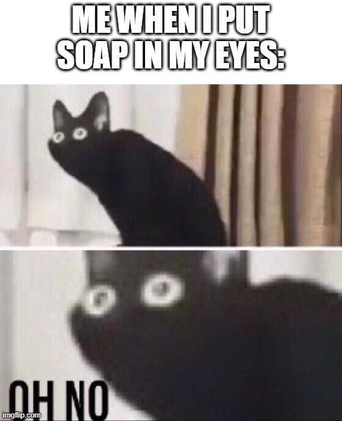 it hurts |  ME WHEN I PUT SOAP IN MY EYES: | image tagged in oh no cat,pain,shower | made w/ Imgflip meme maker
