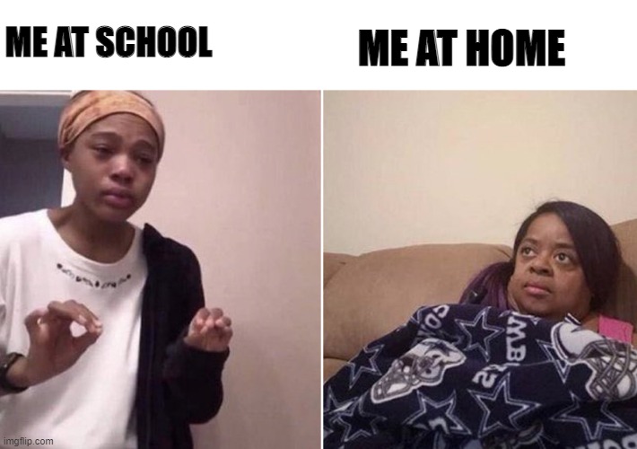 Me explaining to my mom | ME AT SCHOOL; ME AT HOME | image tagged in me explaining to my mom | made w/ Imgflip meme maker