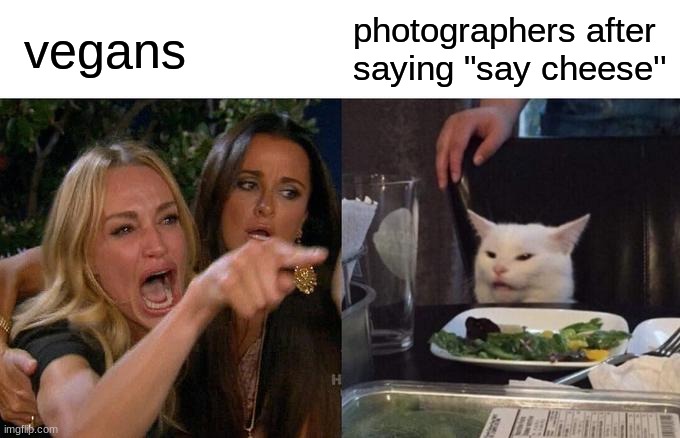 vegens yelling at normal people | vegans; photographers after saying "say cheese'' | image tagged in memes,woman yelling at cat | made w/ Imgflip meme maker