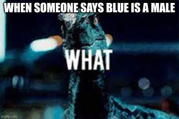 WHEN SOMEONE SAYS BLUE IS A MALE | made w/ Imgflip meme maker
