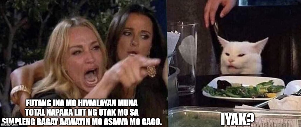 woman yelling at cat | FUTANG INA MO HIWALAYAN MUNA TOTAL NAPAKA LIIT NG UTAK MO SA SIMPLENG BAGAY AAWAYIN MO ASAWA MO GAGO. IYAK? | image tagged in woman yelling at cat | made w/ Imgflip meme maker