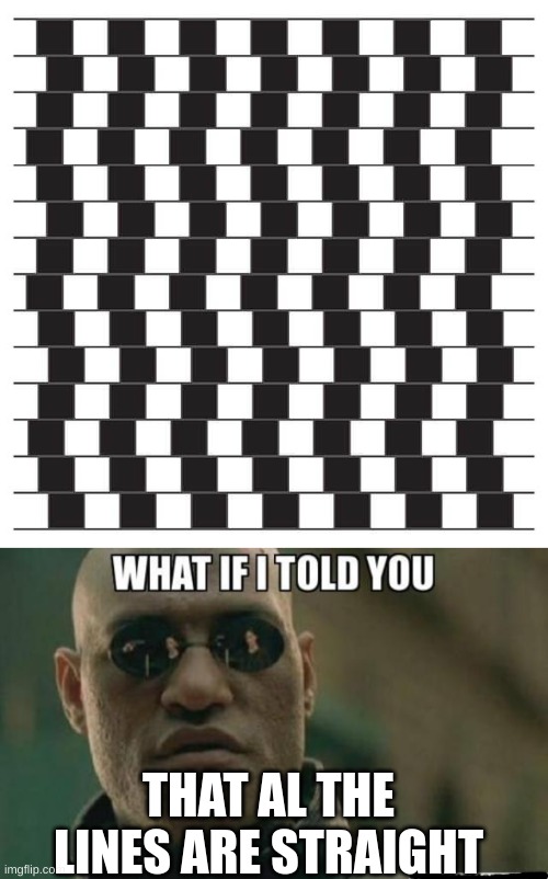 Lines |  THAT AL THE LINES ARE STRAIGHT | image tagged in what if i told you,memes,optical illusion,funny,funny memes,illusion 100 | made w/ Imgflip meme maker