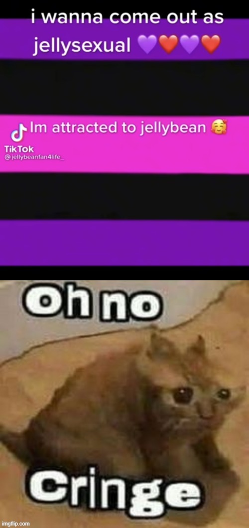 I stole this from the LGBTQ stream | made w/ Imgflip meme maker