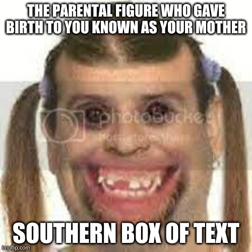 THE PARENTAL FIGURE WHO GAVE BIRTH TO YOU KNOWN AS YOUR MOTHER; SOUTHERN BOX OF TEXT | made w/ Imgflip meme maker