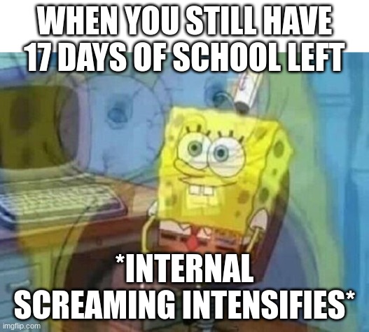 17 days left | WHEN YOU STILL HAVE 17 DAYS OF SCHOOL LEFT; *INTERNAL SCREAMING INTENSIFIES* | image tagged in internal screaming | made w/ Imgflip meme maker