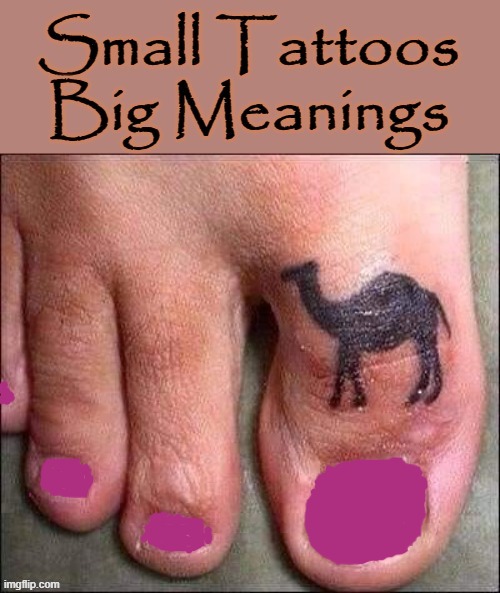 Toe tat ! | image tagged in camel | made w/ Imgflip meme maker