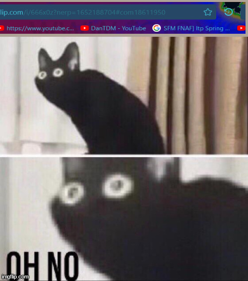 OH NO | image tagged in oh no cat | made w/ Imgflip meme maker