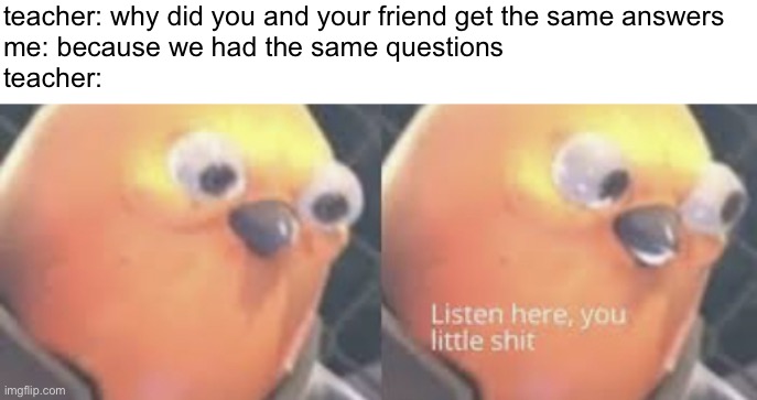 this would be a good memenade meme | teacher: why did you and your friend get the same answers
me: because we had the same questions
teacher: | image tagged in listen here you little shit bird,memenade | made w/ Imgflip meme maker
