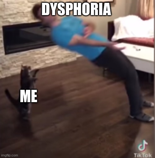DYSPHORIA; ME | made w/ Imgflip meme maker