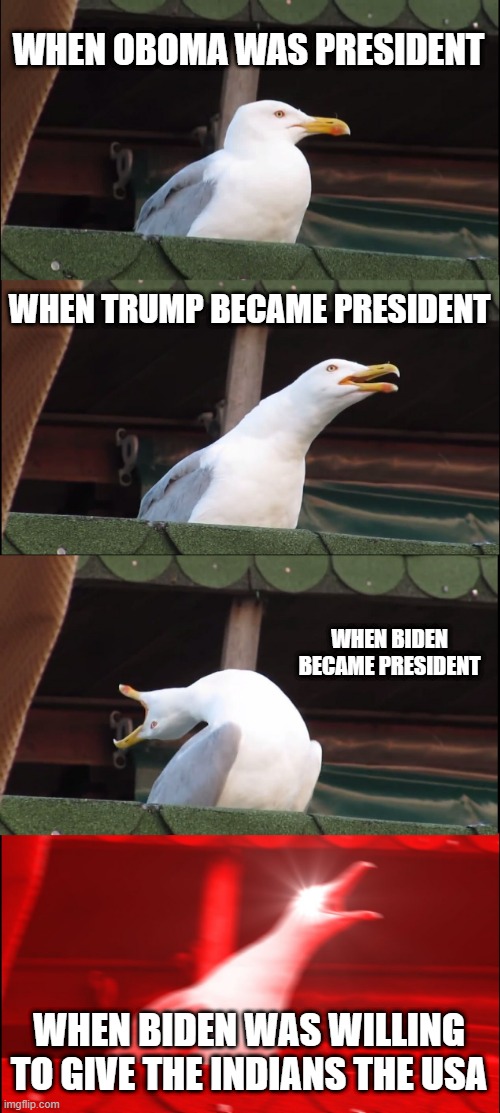 Inhaling Seagull | WHEN OBOMA WAS PRESIDENT; WHEN TRUMP BECAME PRESIDENT; WHEN BIDEN BECAME PRESIDENT; WHEN BIDEN WAS WILLING TO GIVE THE INDIANS THE USA | image tagged in memes,inhaling seagull | made w/ Imgflip meme maker