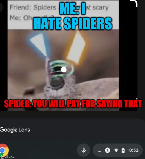 spiders aint scary | ME: I HATE SPIDERS; SPIDER: YOU WILL PAY FOR SAYING THAT | image tagged in spiders aint scary | made w/ Imgflip meme maker