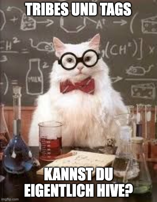 SMART CAT | TRIBES UND TAGS; KANNST DU EIGENTLICH HIVE? | image tagged in smart cat | made w/ Imgflip meme maker