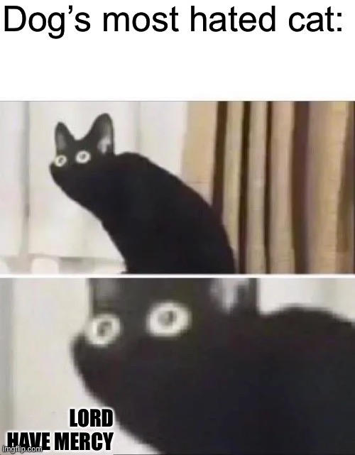 Oh No Black Cat | Dog’s most hated cat: LORD HAVE MERCY | image tagged in oh no black cat | made w/ Imgflip meme maker