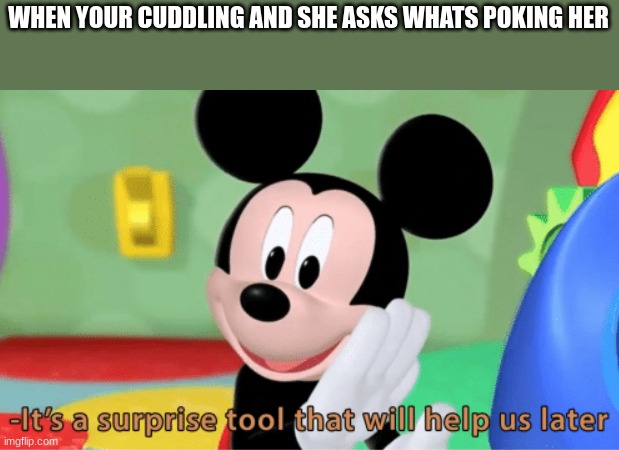 out of all the memes like this this is the only one that makes sense (not my meme) | WHEN YOUR CUDDLING AND SHE ASKS WHATS POKING HER | image tagged in its a suprise tool that will help us later | made w/ Imgflip meme maker