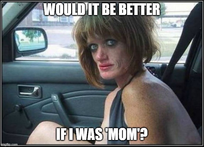 Ugly meth heroin addict Prostitute hoe in car | WOULD IT BE BETTER IF I WAS 'MOM'? | image tagged in ugly meth heroin addict prostitute hoe in car | made w/ Imgflip meme maker