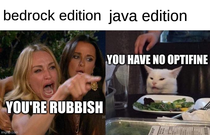 edition fight | bedrock edition; java edition; YOU HAVE NO OPTIFINE; YOU'RE RUBBISH | image tagged in memes,woman yelling at cat | made w/ Imgflip meme maker