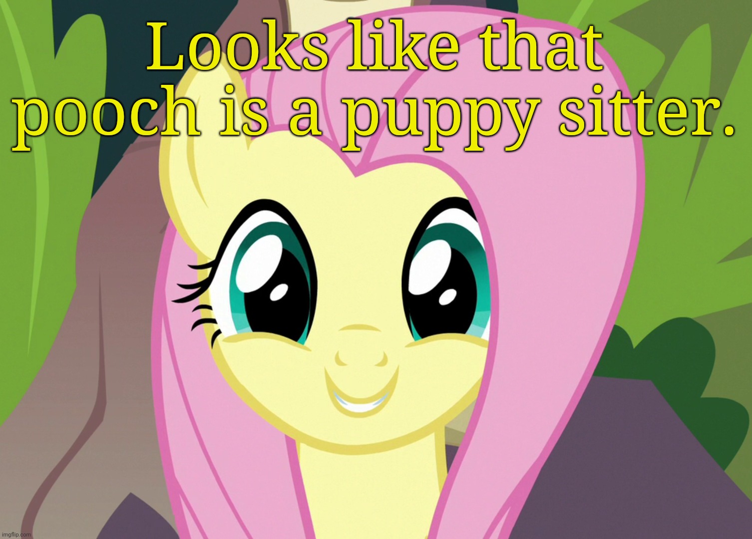 Shyabetes 2 (MLP) | Looks like that pooch is a puppy sitter. | image tagged in shyabetes 2 mlp | made w/ Imgflip meme maker