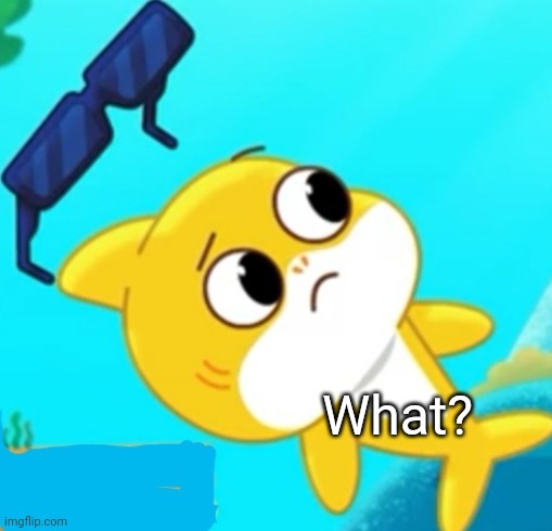 What the heck | What? | image tagged in what the heck | made w/ Imgflip meme maker