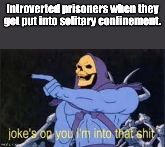 Introverted 101 | Introverted prisoners when they get put into solitary confinement. | image tagged in jokes on you im into that shit | made w/ Imgflip meme maker