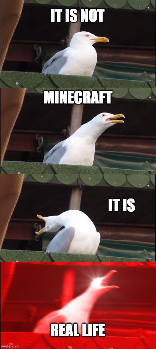 Inhaling Seagull Meme | IT IS NOT MINECRAFT IT IS REAL LIFE | image tagged in memes,inhaling seagull | made w/ Imgflip meme maker