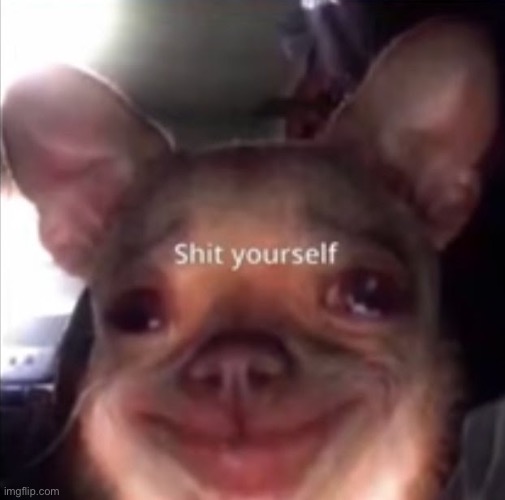 shit yourself dog | image tagged in shit yourself dog | made w/ Imgflip meme maker