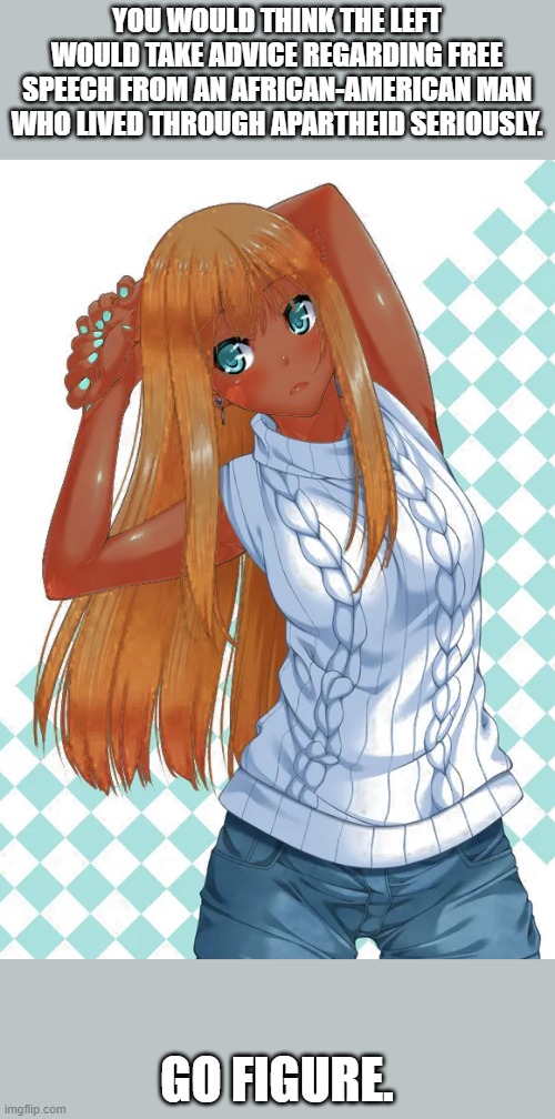 Or does that just apply to Trevor Noah? | YOU WOULD THINK THE LEFT WOULD TAKE ADVICE REGARDING FREE SPEECH FROM AN AFRICAN-AMERICAN MAN WHO LIVED THROUGH APARTHEID SERIOUSLY. GO FIGURE. | made w/ Imgflip meme maker