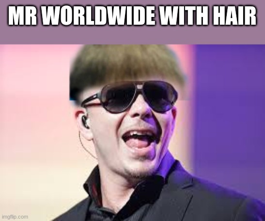 xd | MR WORLDWIDE WITH HAIR | image tagged in pitbull | made w/ Imgflip meme maker