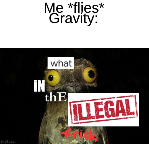 e | Me *flies*; Gravity:; iN; thE | image tagged in memes | made w/ Imgflip meme maker