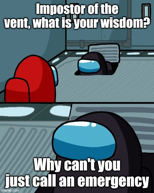 What? | Impostor of the vent, what is your wisdom? Why can't you just call an emergency | image tagged in impostor of the vent,among us,memes | made w/ Imgflip meme maker