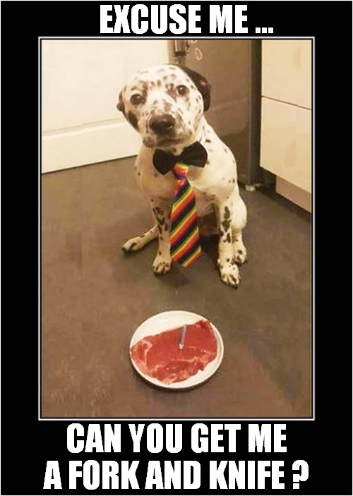Dog Dressed For Dinner ! | EXCUSE ME ... CAN YOU GET ME
A FORK AND KNIFE ? | image tagged in dogs,dressed,dinner | made w/ Imgflip meme maker
