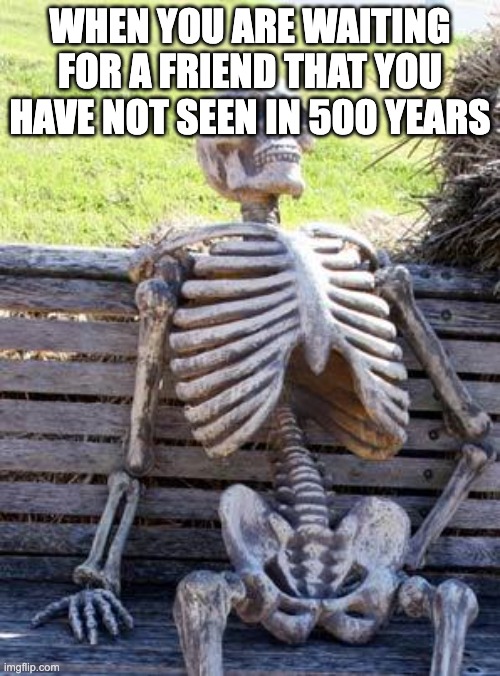 Waiting Skeleton | WHEN YOU ARE WAITING FOR A FRIEND THAT YOU HAVE NOT SEEN IN 500 YEARS | image tagged in memes,waiting skeleton | made w/ Imgflip meme maker