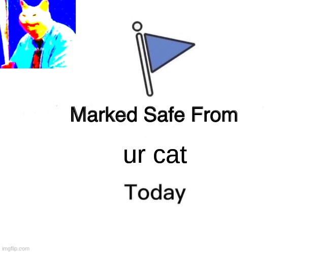 cat with a bat |  ur cat | image tagged in memes,marked safe from | made w/ Imgflip meme maker