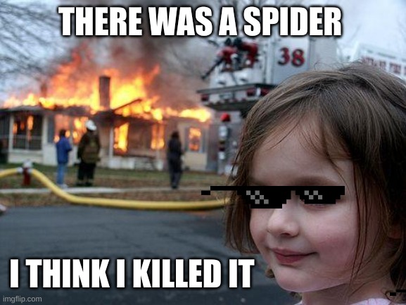 Disaster Girl Meme | THERE WAS A SPIDER; I THINK I KILLED IT | image tagged in memes,disaster girl | made w/ Imgflip meme maker