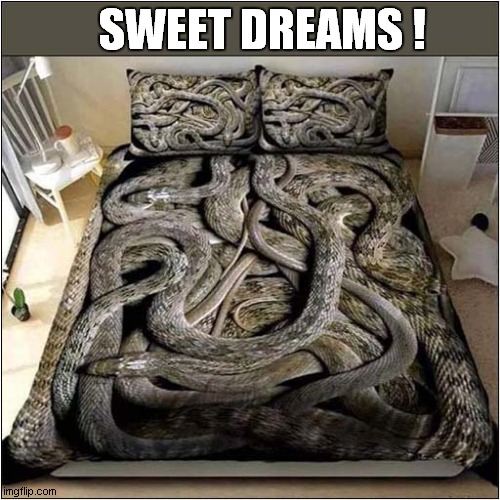 Why Would You Buy This ? | SWEET DREAMS ! | image tagged in snakes,bed,why | made w/ Imgflip meme maker