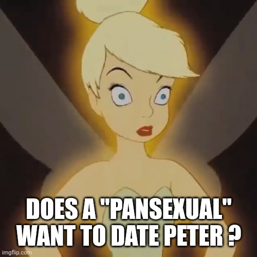 Distraught Tinkerbell | DOES A "PANSEXUAL" WANT TO DATE PETER ? | image tagged in distraught tinkerbell | made w/ Imgflip meme maker