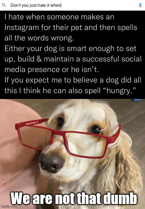 Smart pets | We are not that dumb | image tagged in don't you just hate it when,inteligent dog | made w/ Imgflip meme maker