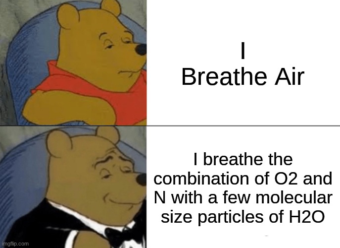 I Breathe Air | I Breathe Air; I breathe the combination of O2 and N with a few molecular size particles of H2O | image tagged in memes,tuxedo winnie the pooh | made w/ Imgflip meme maker