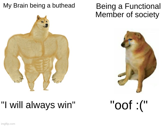 Mee | My Brain being a buthead; Being a Functional Member of society; "I will always win"; "oof :(" | image tagged in memes,buff doge vs cheems | made w/ Imgflip meme maker