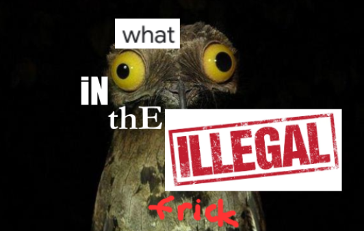 High Quality What in the illegal frick Blank Meme Template