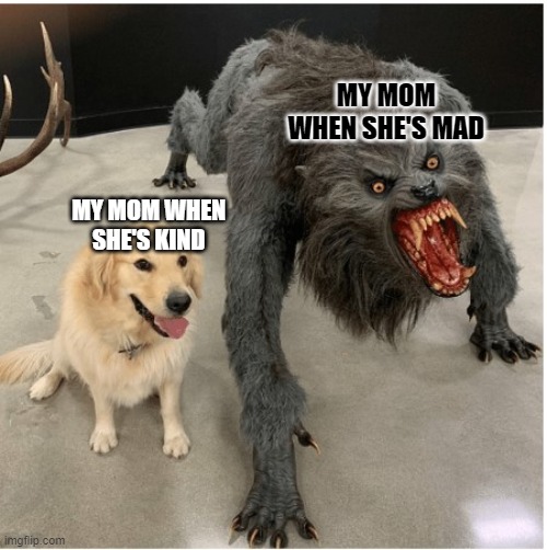 true |  MY MOM WHEN SHE'S MAD; MY MOM WHEN SHE'S KIND | image tagged in dog wolf | made w/ Imgflip meme maker